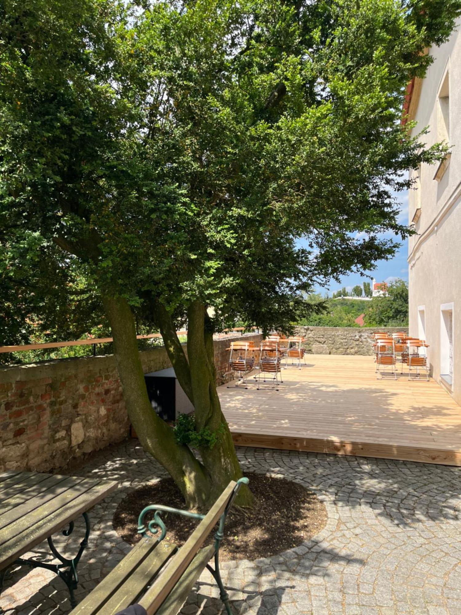 Schlosshotel Mailberg Εξωτερικό φωτογραφία